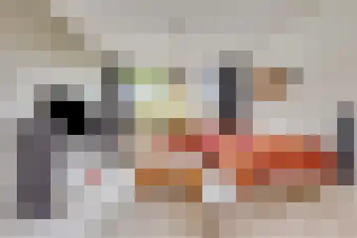 Kwartellaan 6 Wieringerwaard thumbnail 4