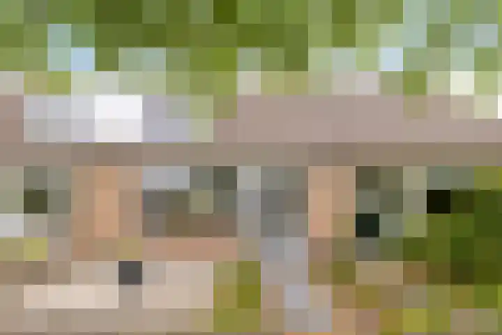 Kwartellaan 6 Wieringerwaard thumbnail 5