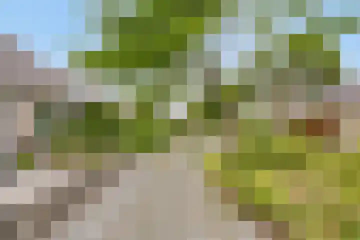 Kwartellaan 6 Wieringerwaard thumbnail 6