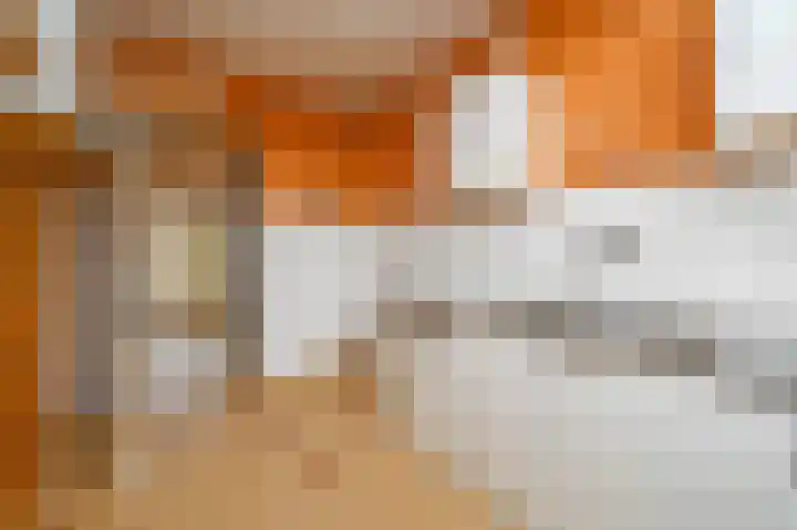 Kwartellaan 8 Maassluis thumbnail 13
