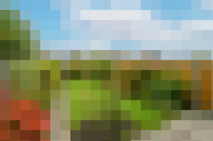 Kwartellaan 8 Maassluis thumbnail 15