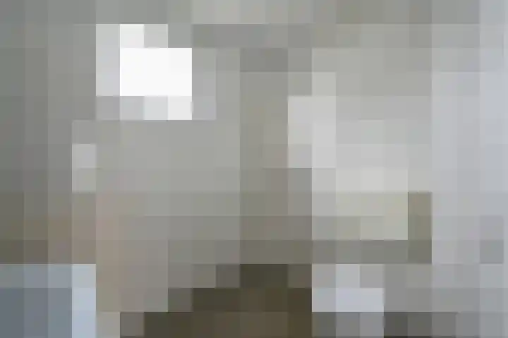 Kwartellaan 8 Maassluis thumbnail 21