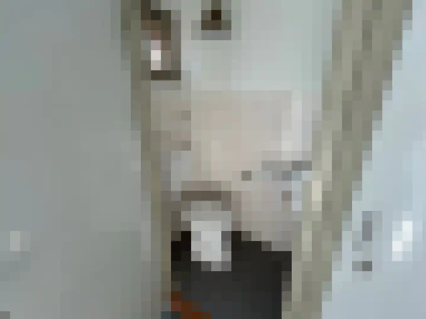 Kwartellaan 88 Ulft thumbnail 11