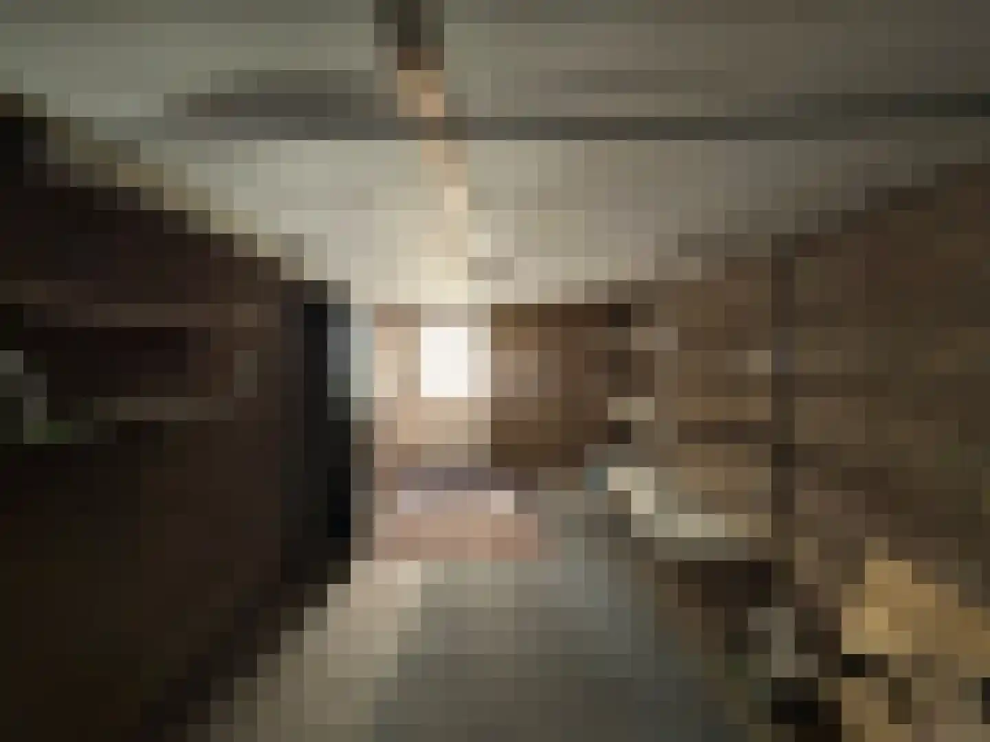 Kwartellaan 88 Ulft thumbnail 28