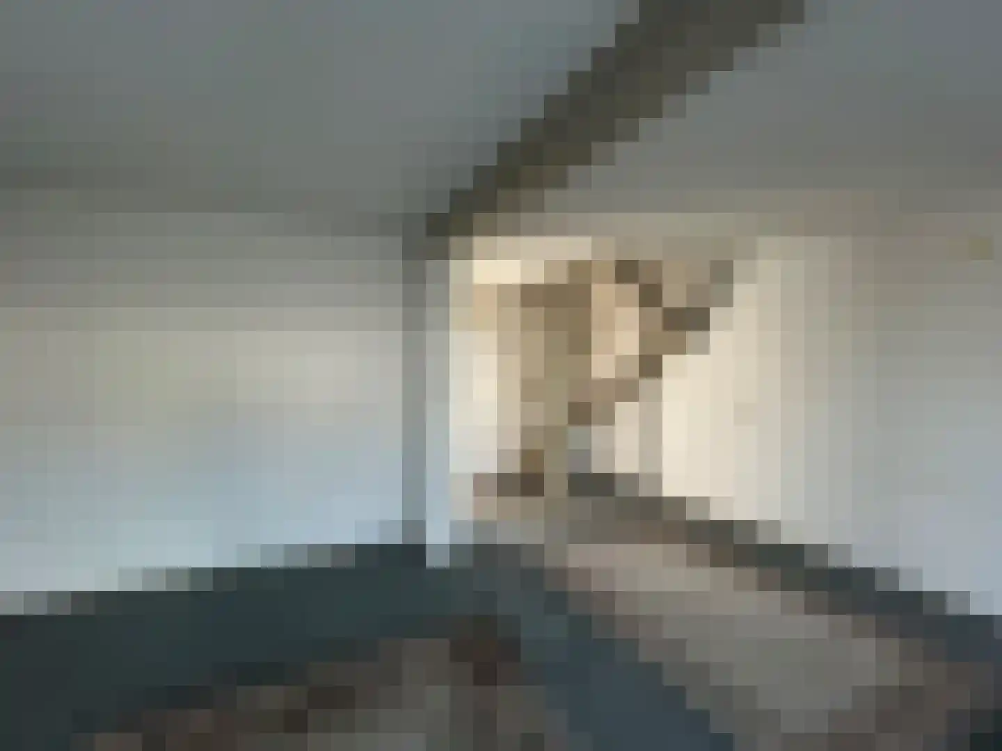 Kwartellaan 88 Ulft thumbnail 6