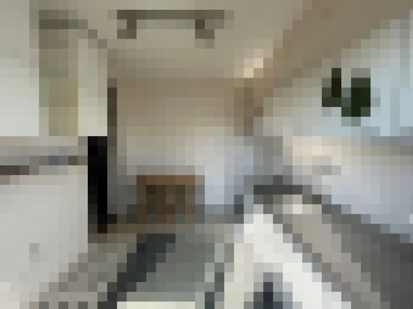 Kwartellaan 88 Ulft thumbnail 8