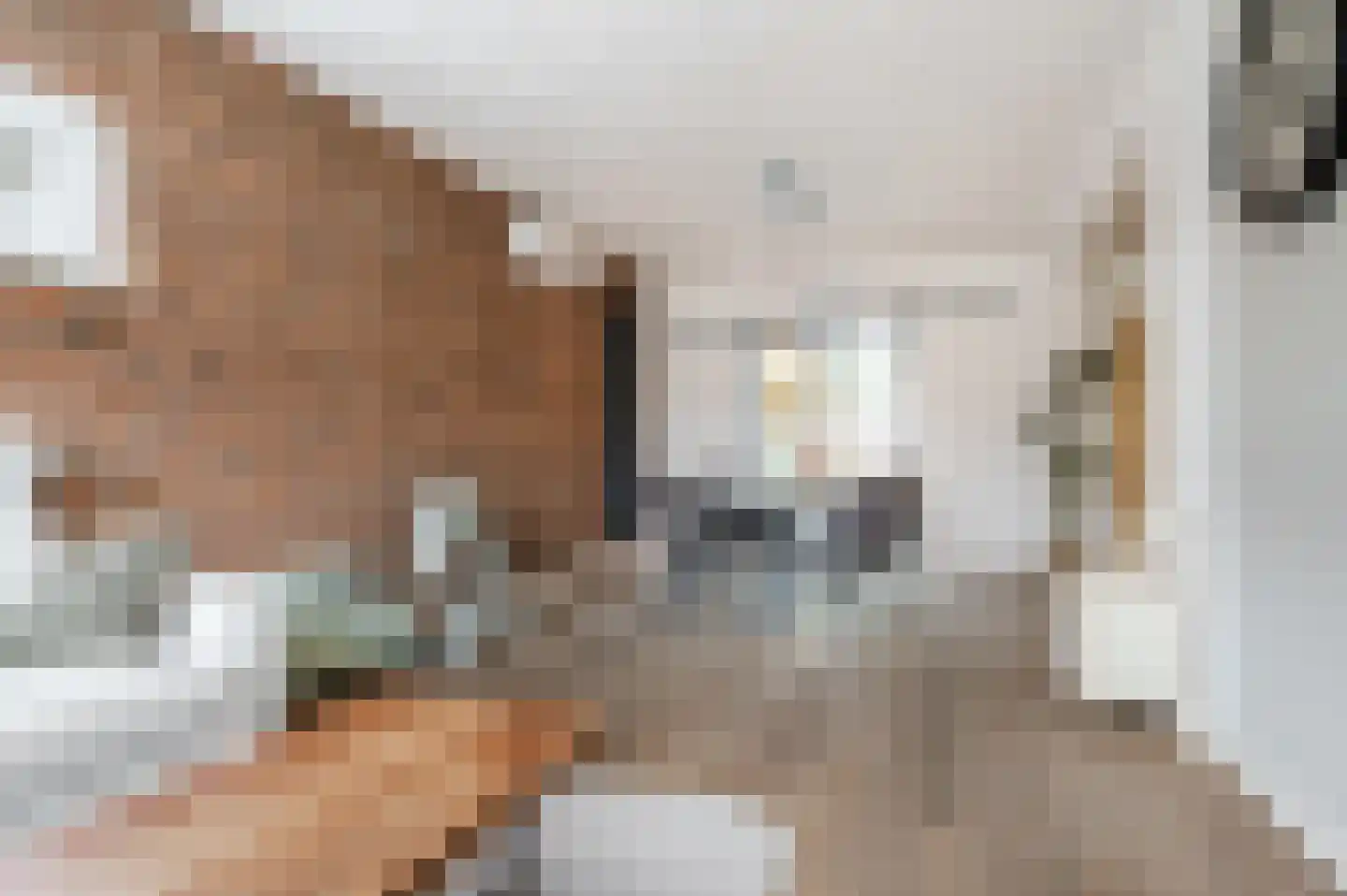 Kwartellaan 9 Boekel thumbnail 13