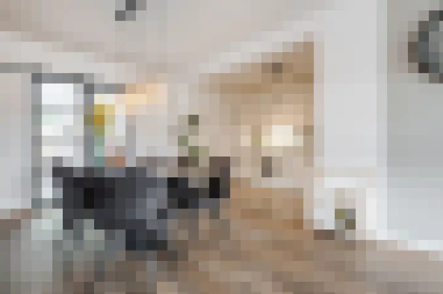 Kwartellaan 9 Boekel thumbnail 18