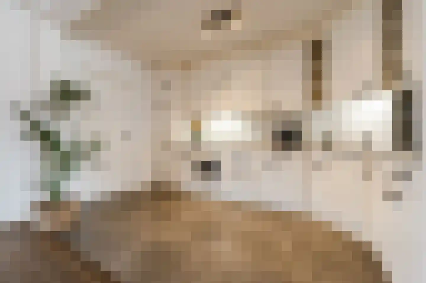 Kwartellaan 9 Boekel thumbnail 19