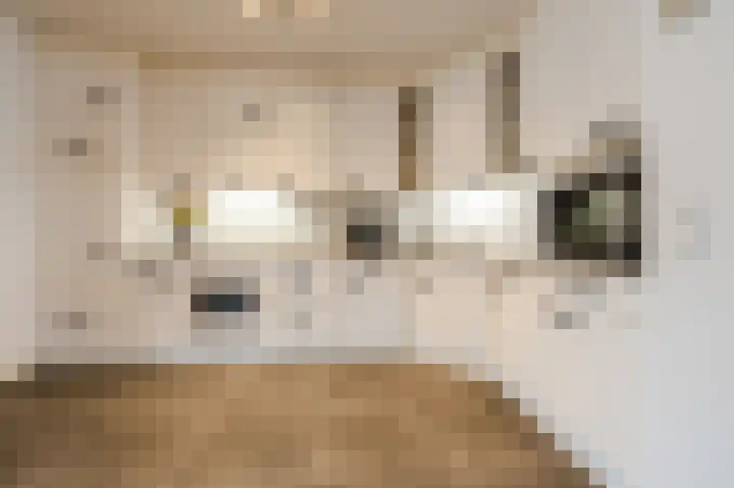 Kwartellaan 9 Boekel thumbnail 20