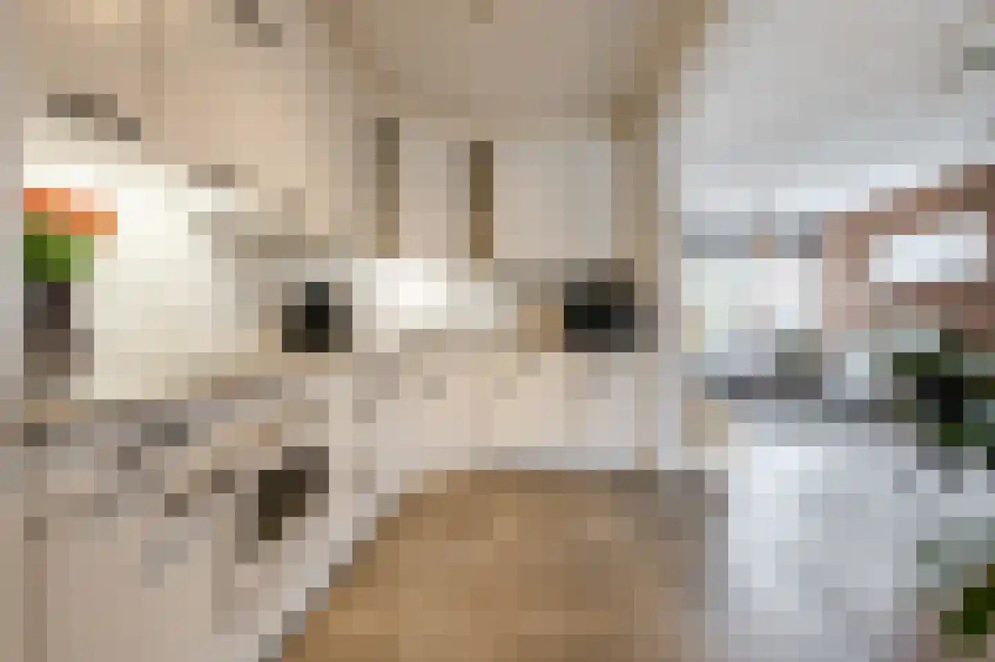 Kwartellaan 9 Boekel thumbnail 21