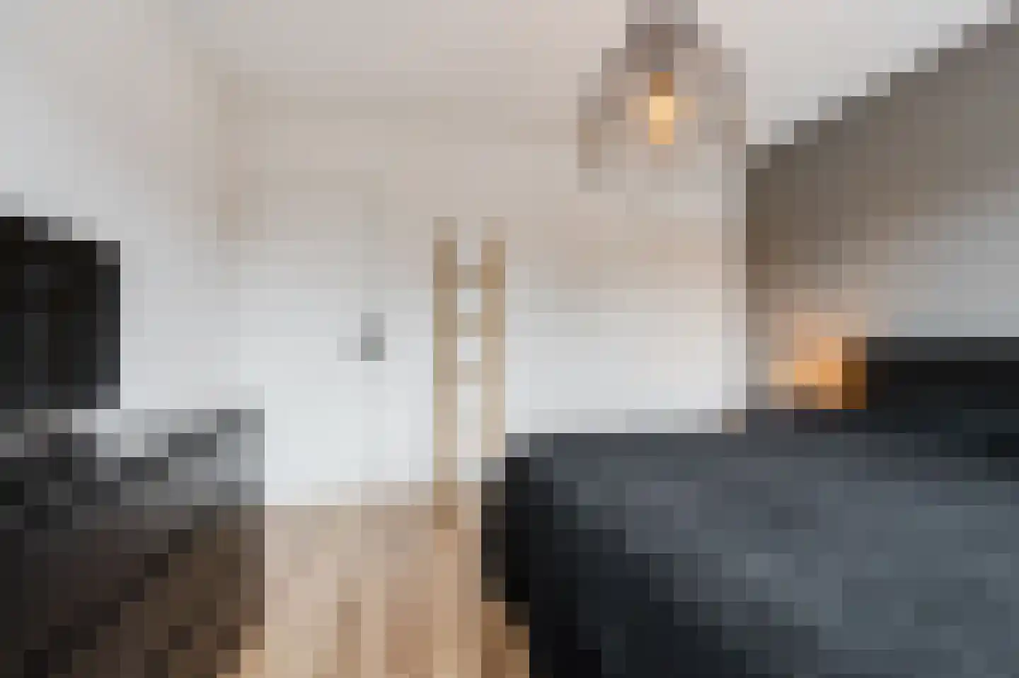 Kwartellaan 9 Boekel thumbnail 31