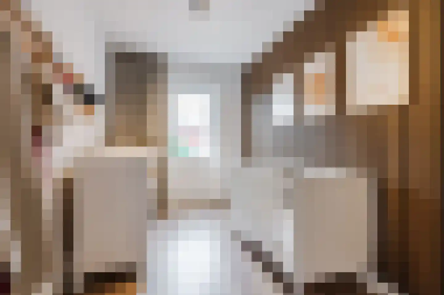 Kwartellaan 9 Boekel thumbnail 32