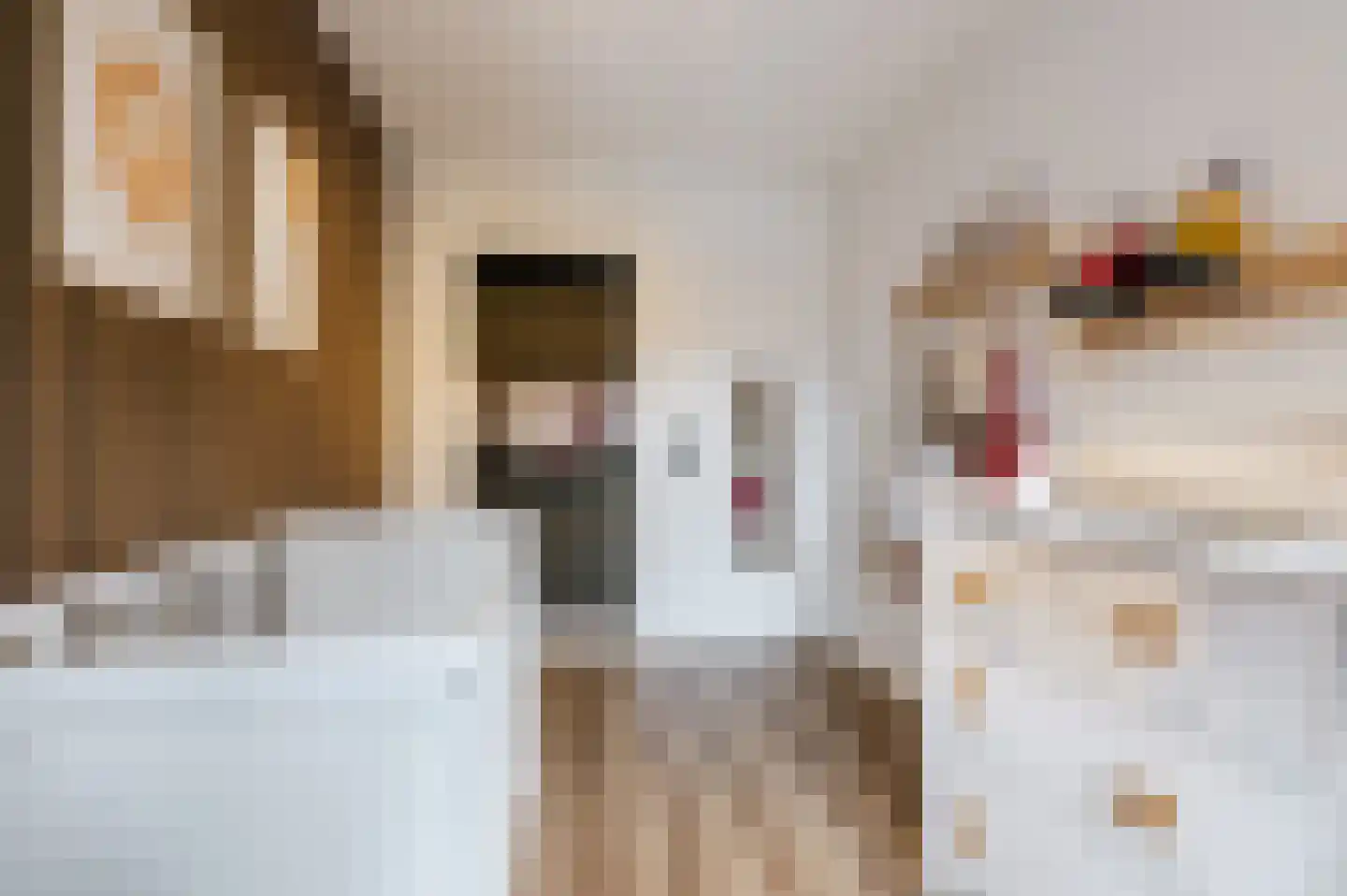 Kwartellaan 9 Boekel thumbnail 33