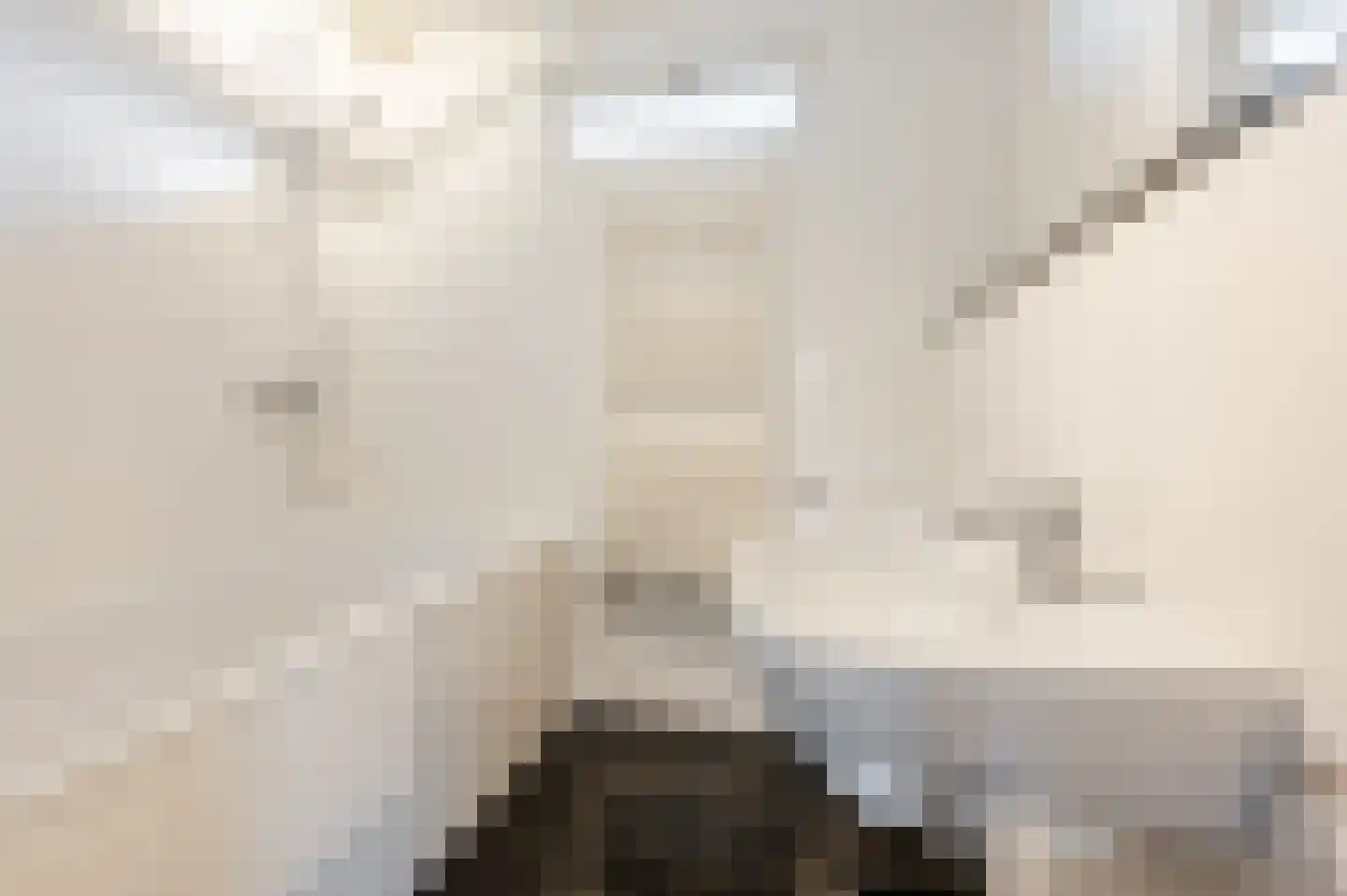 Kwartellaan 9 Boekel thumbnail 36