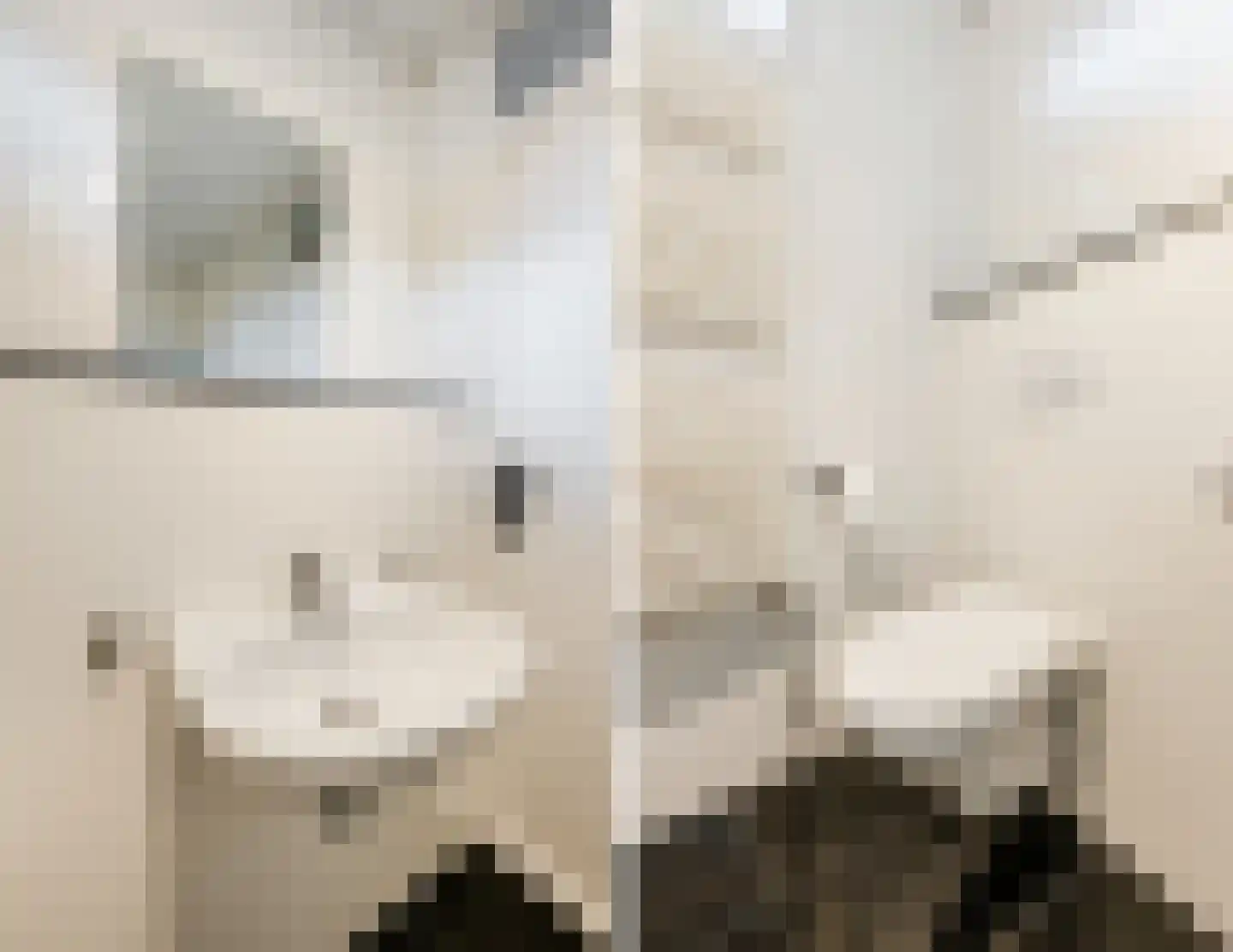 Kwartellaan 9 Boekel thumbnail 38