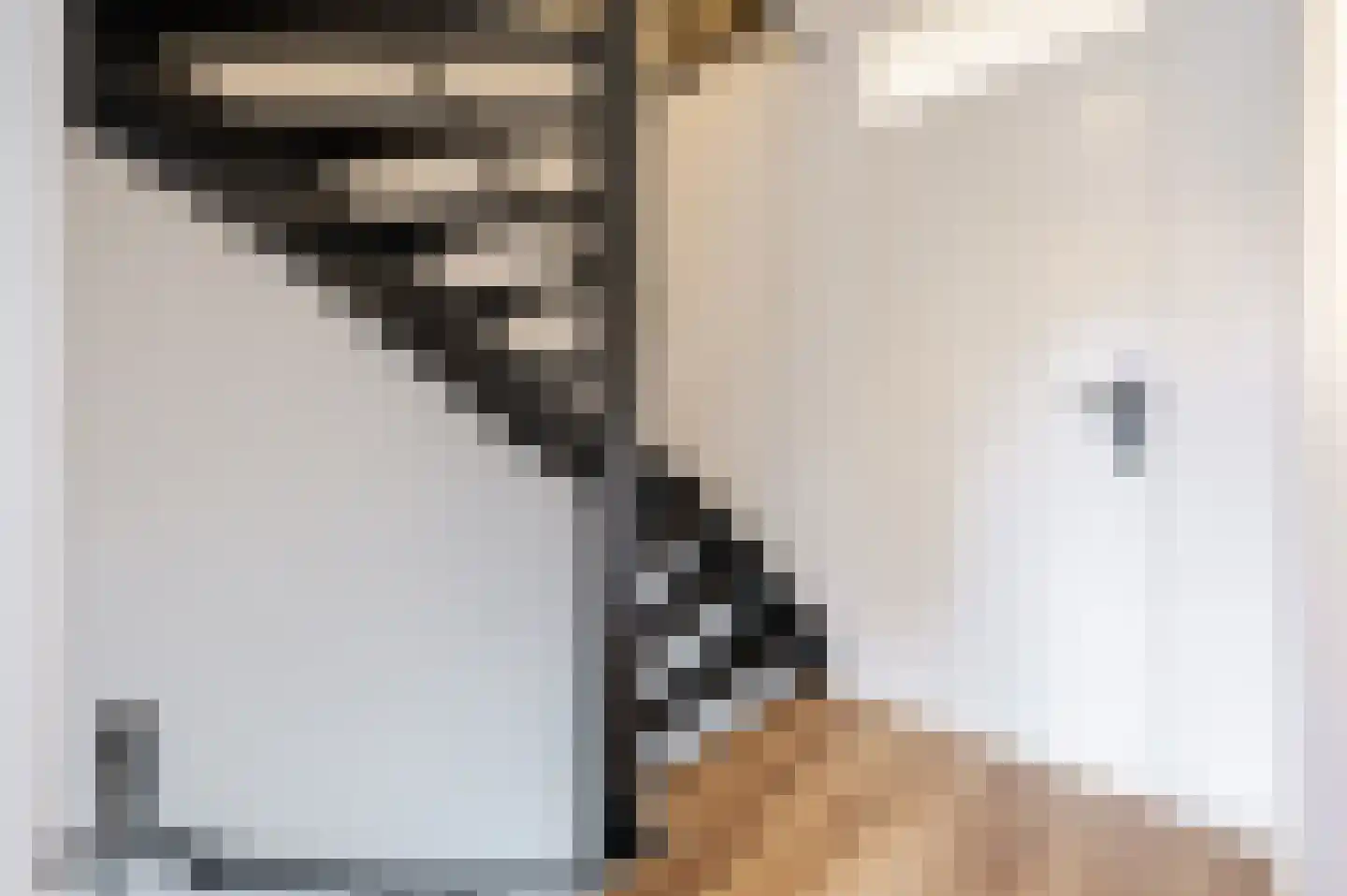 Kwartellaan 9 Boekel thumbnail 39