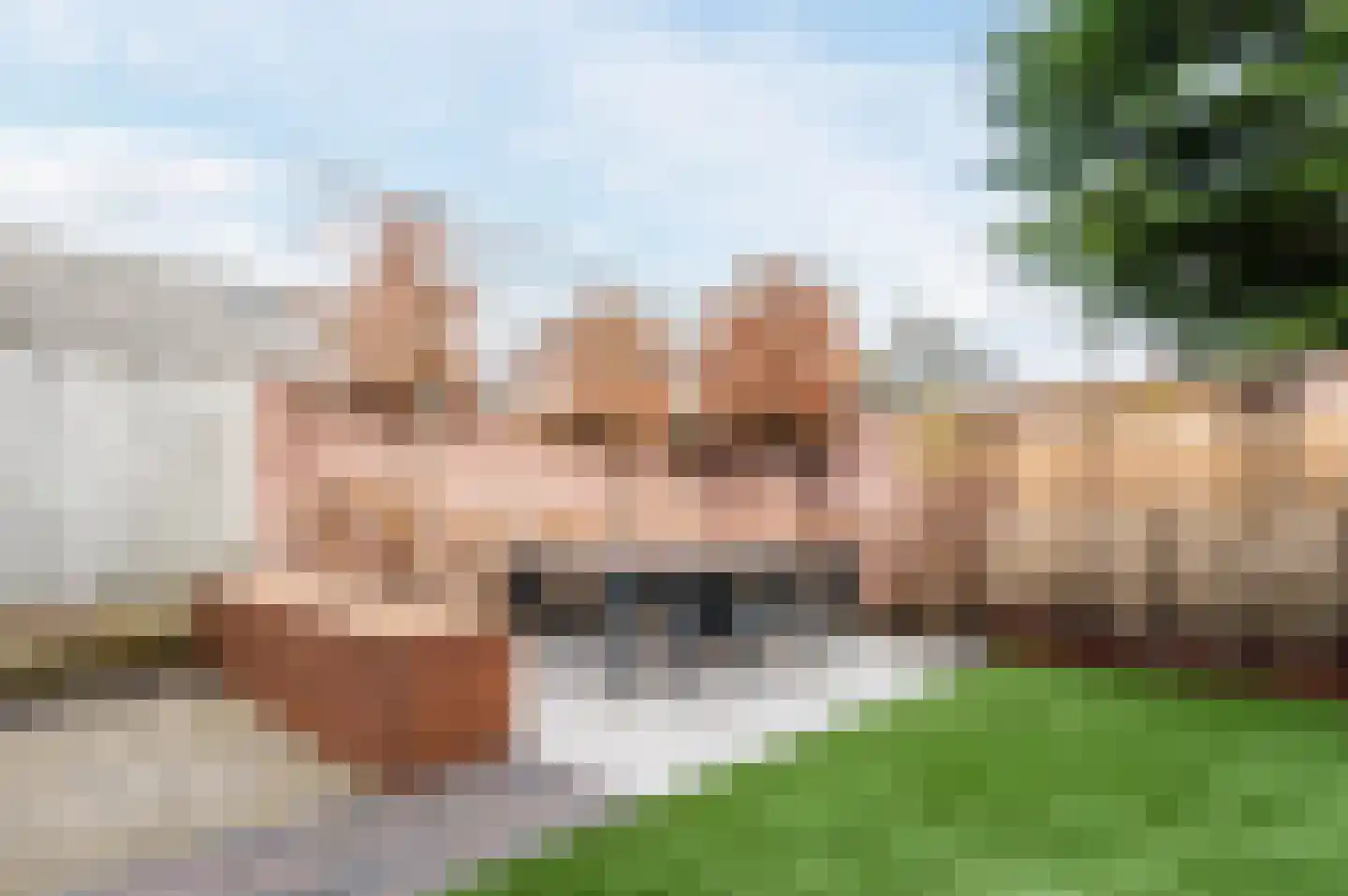 Kwartellaan 9 Boekel thumbnail 49