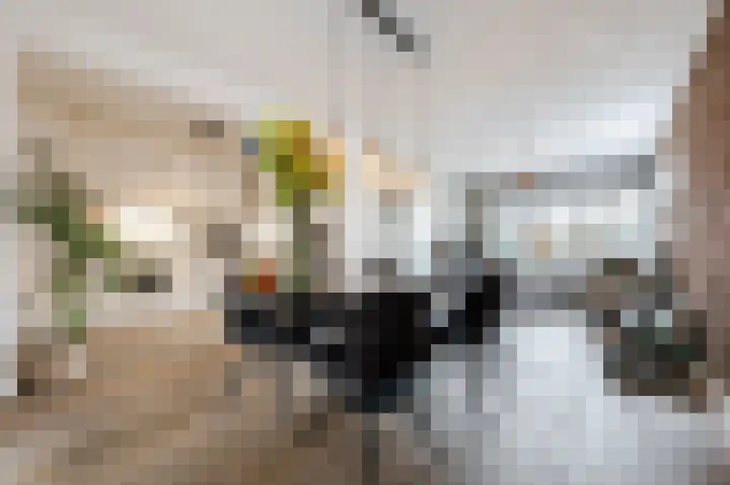 Kwartellaan 9 Boekel thumbnail 5
