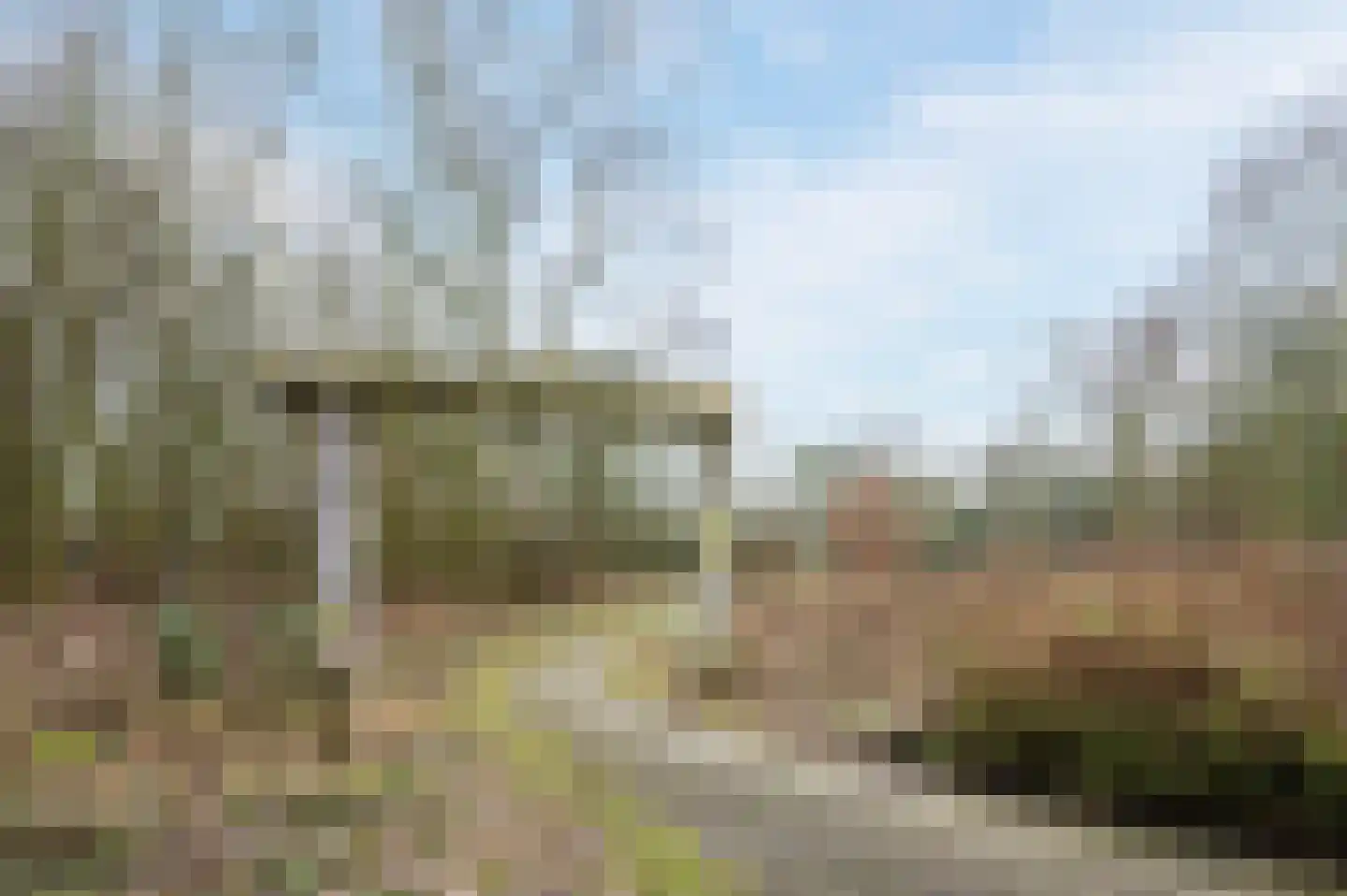 Kwartellaan 9 Boekel thumbnail 55
