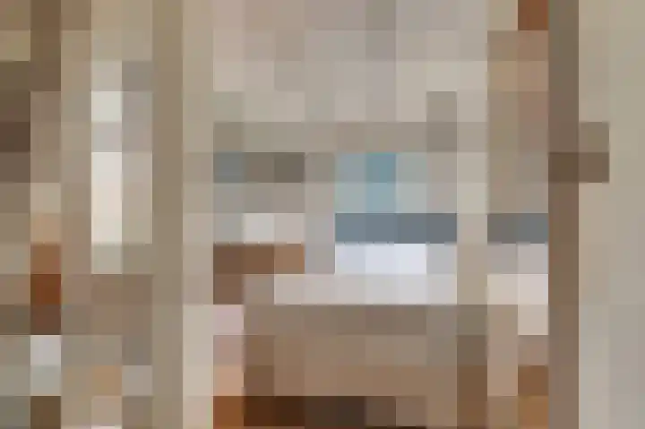 Kwartellaan 9 Enkhuizen thumbnail 17