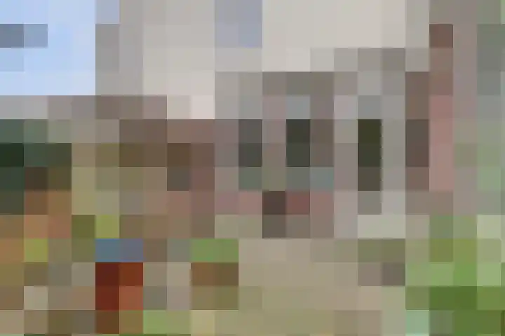 Kwartellaan 9 Enkhuizen thumbnail 20