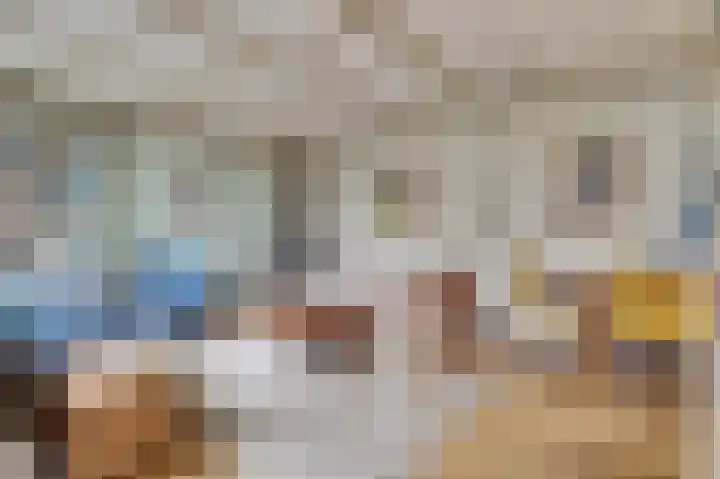 Kwartellaan 9 Enkhuizen thumbnail 9