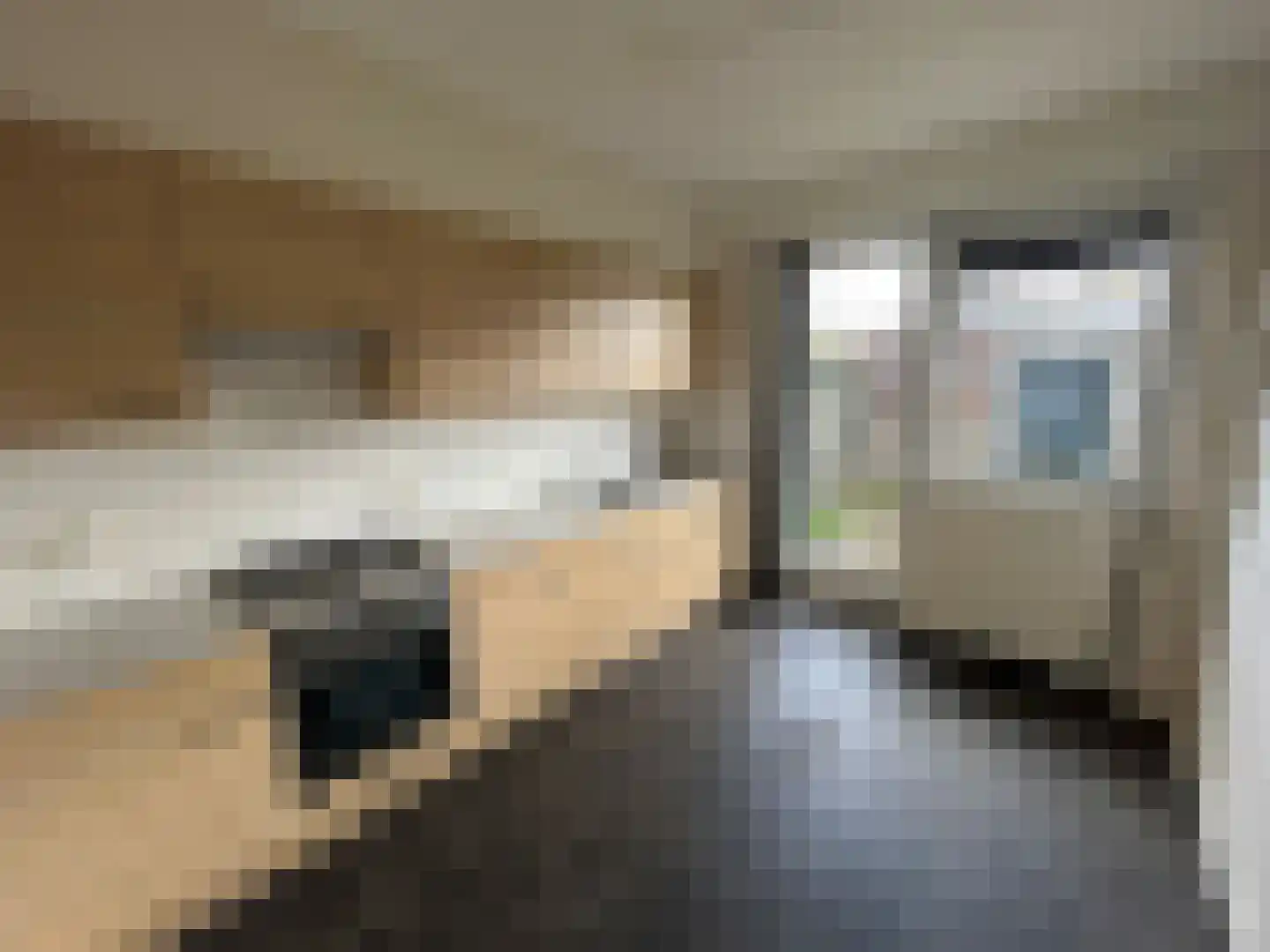 Kwartellaan 96 Ulft thumbnail 7
