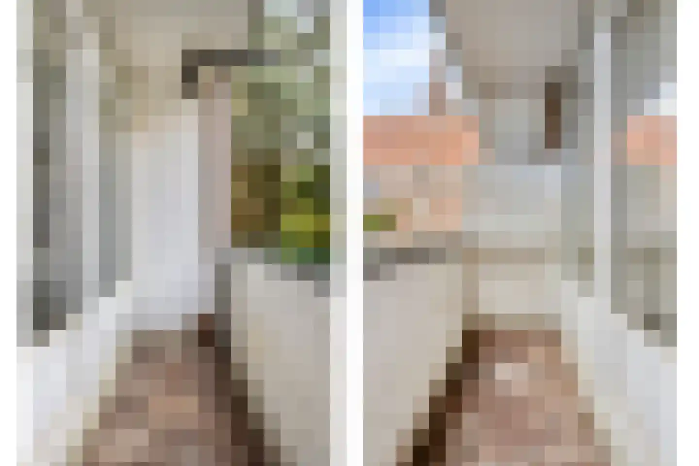 Kwartelstraat 10 B Rotterdam thumbnail 17