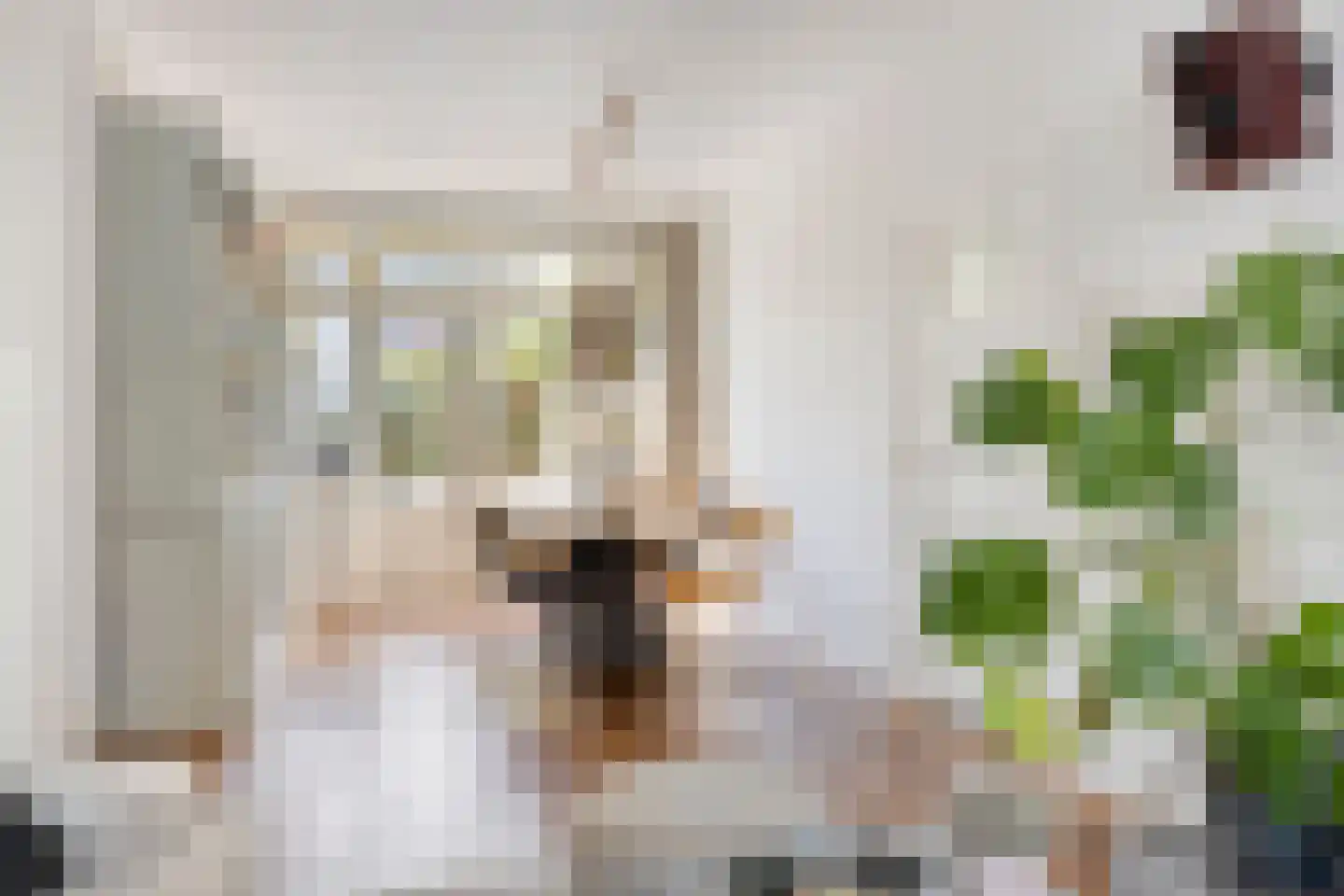 Kwartelstraat 10 Breda thumbnail 10