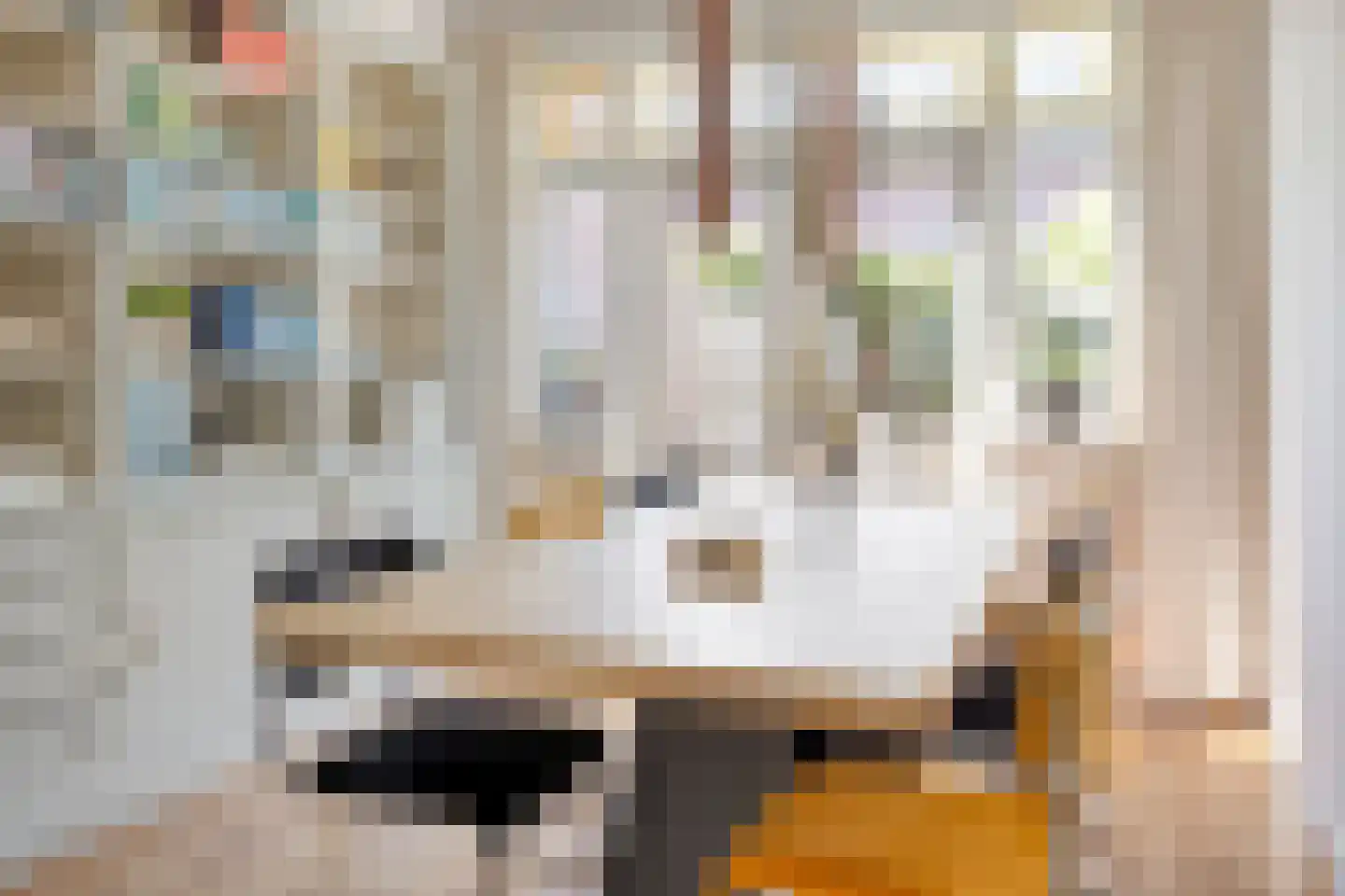 Kwartelstraat 10 Breda thumbnail 12