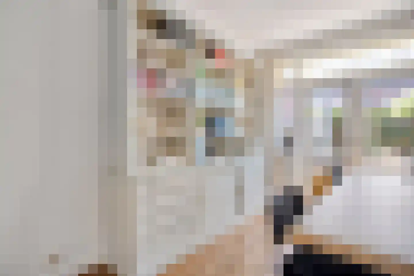 Kwartelstraat 10 Breda thumbnail 13