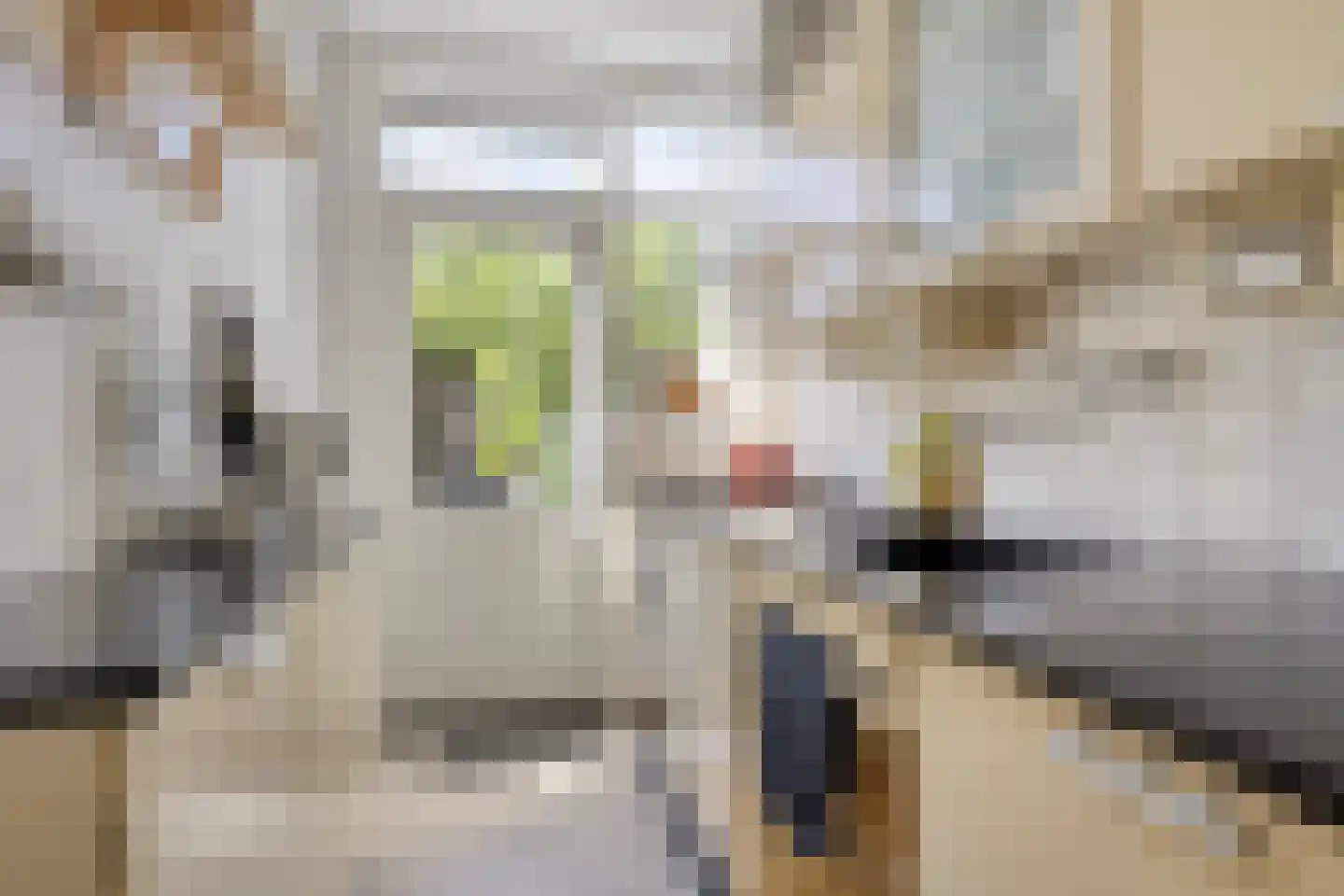 Kwartelstraat 10 Breda thumbnail 16