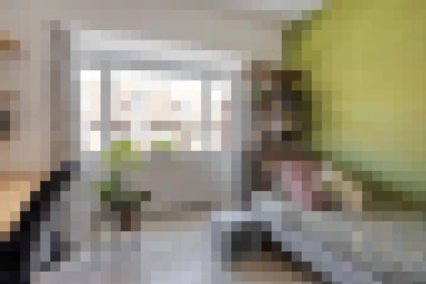Kwartelstraat 10 Breda thumbnail 21