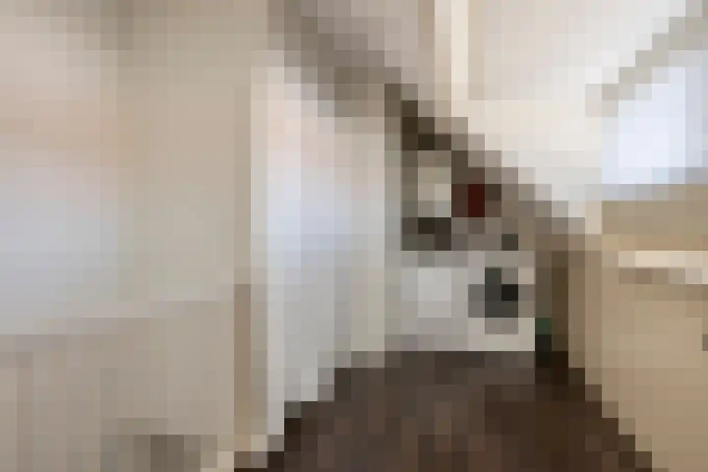 Kwartelstraat 10 Breda thumbnail 29