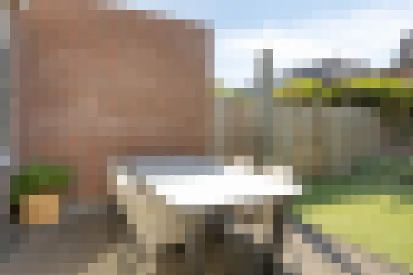 Kwartelstraat 10 Breda thumbnail 34
