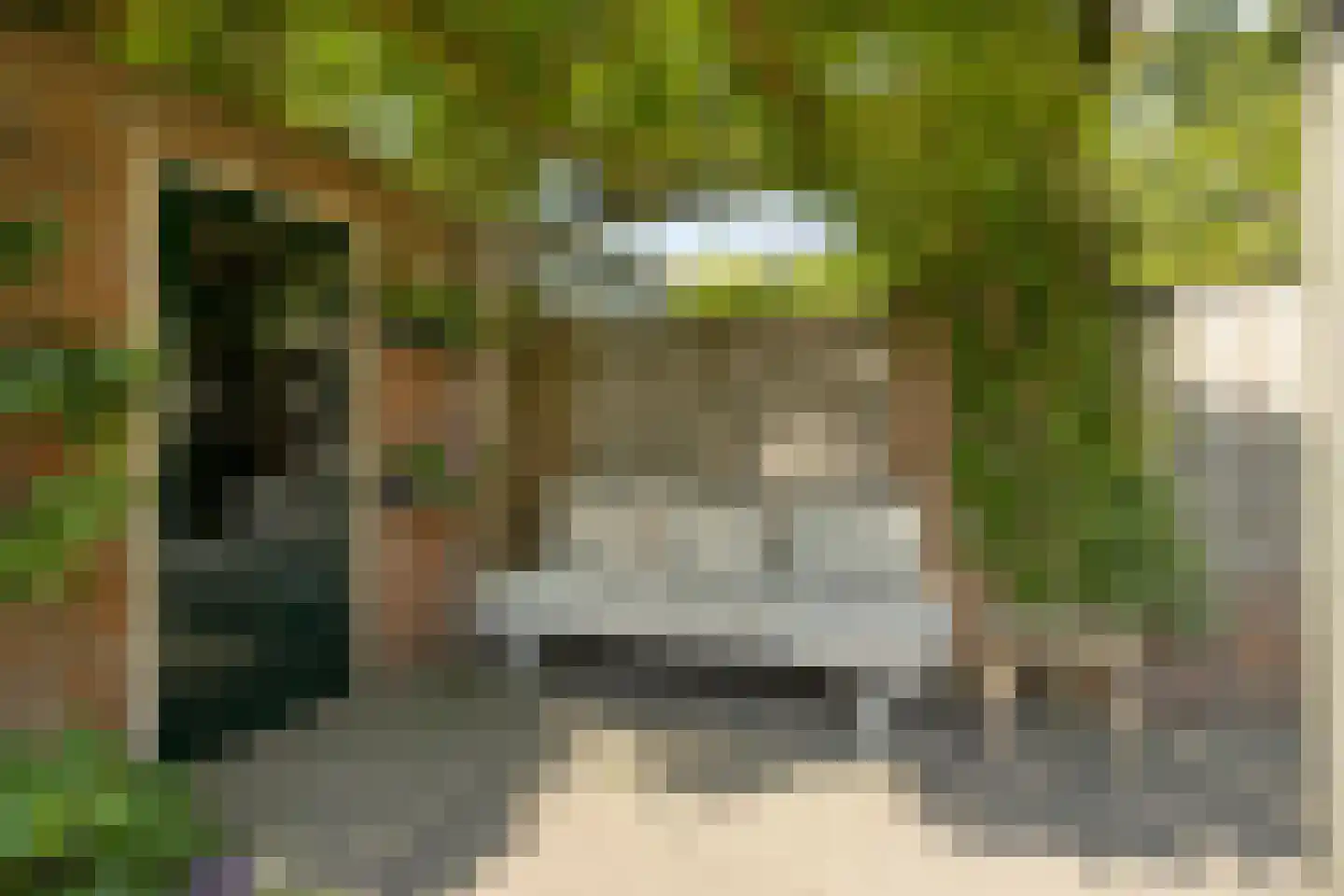 Kwartelstraat 10 Breda thumbnail 35