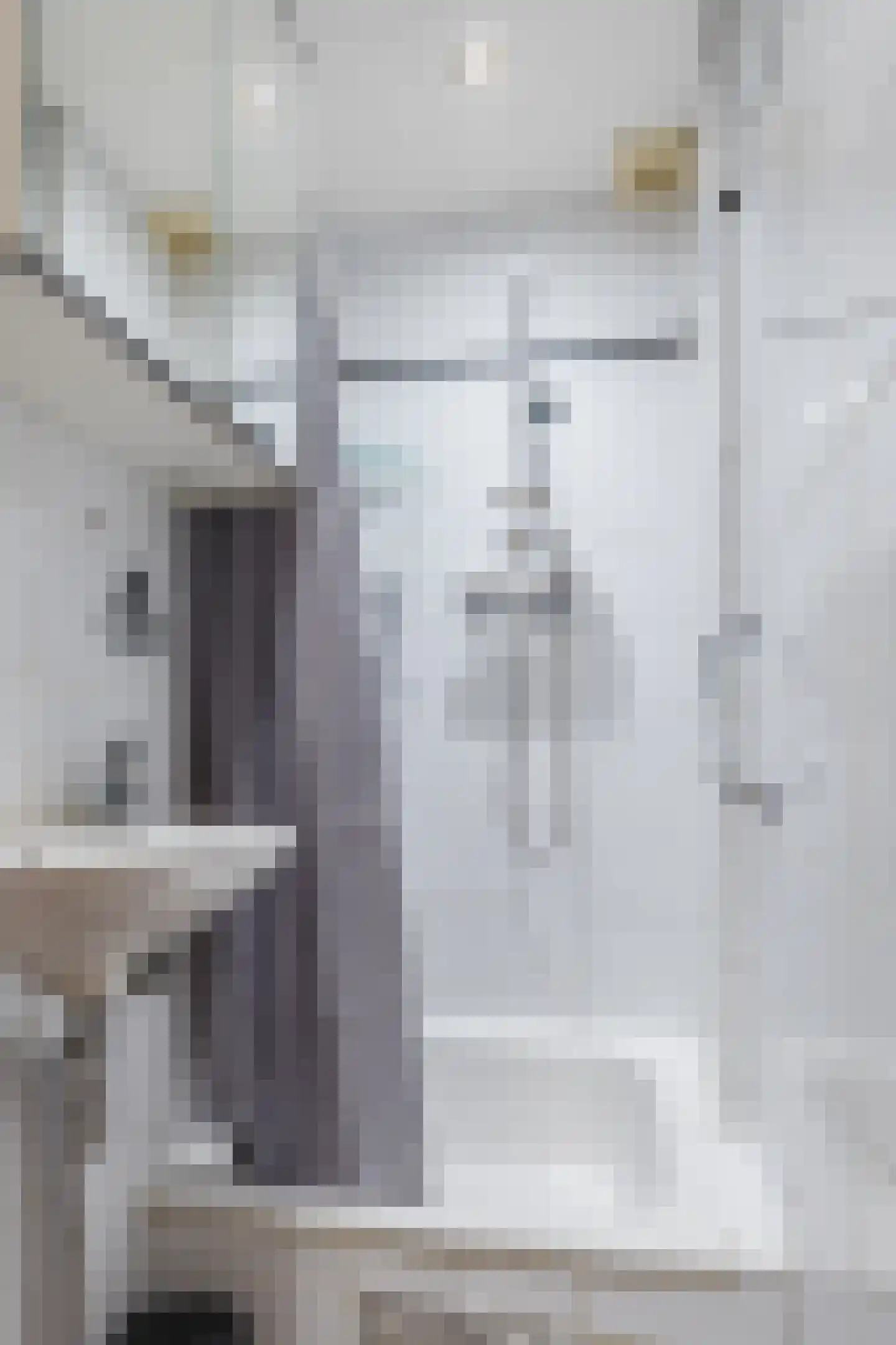 Kwartelstraat 11 A Rotterdam thumbnail 32
