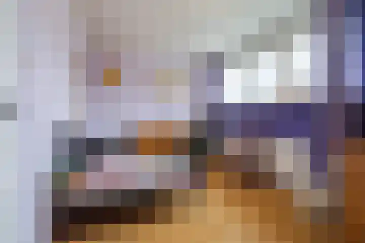 Kwartelstraat 11 Oosterhout thumbnail 20