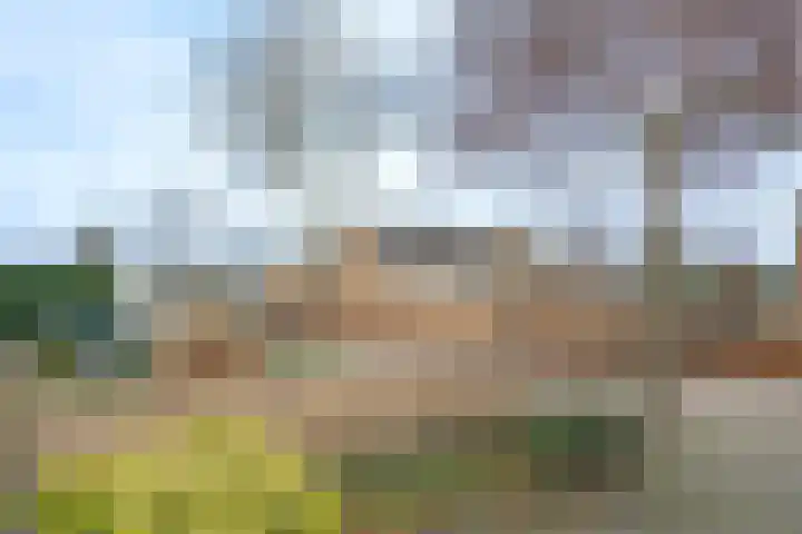 Kwartelstraat 11 Oosterhout thumbnail 38