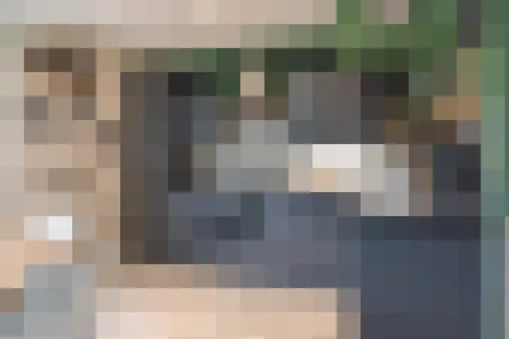 Kwartelstraat 11 Oosterhout thumbnail 6