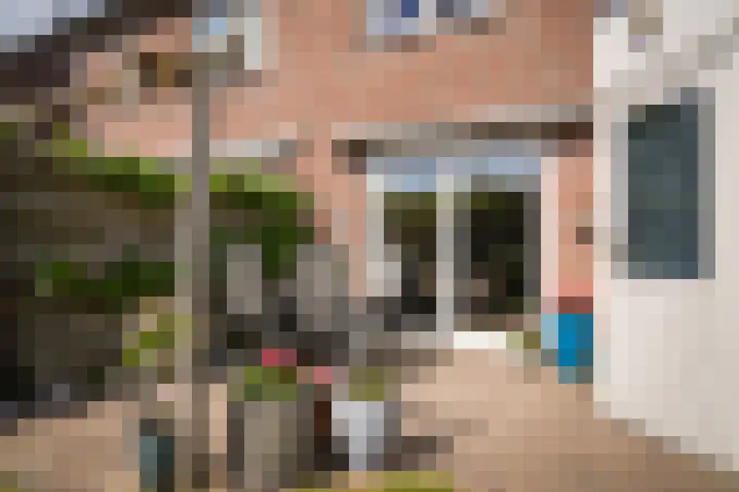 Kwartelstraat 12 Beneden-Leeuwen thumbnail 34