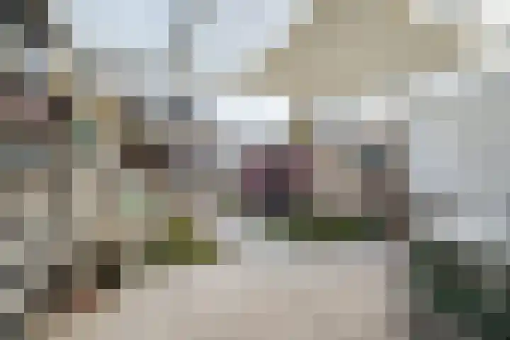 Kwartelstraat 13 Oosterhout thumbnail 28