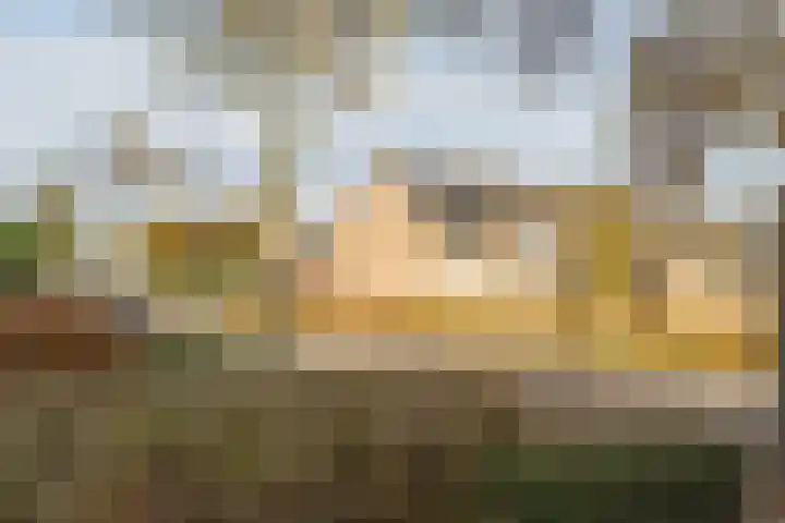 Kwartelstraat 13 Oosterhout thumbnail 34