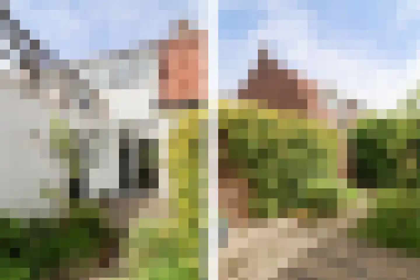 Kwartelstraat 15 Leeuwarden thumbnail 65