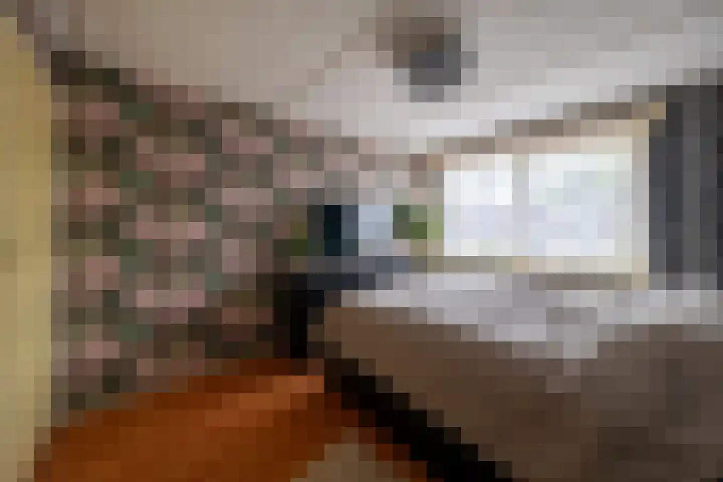 Kwartelstraat 16 Goor thumbnail 14