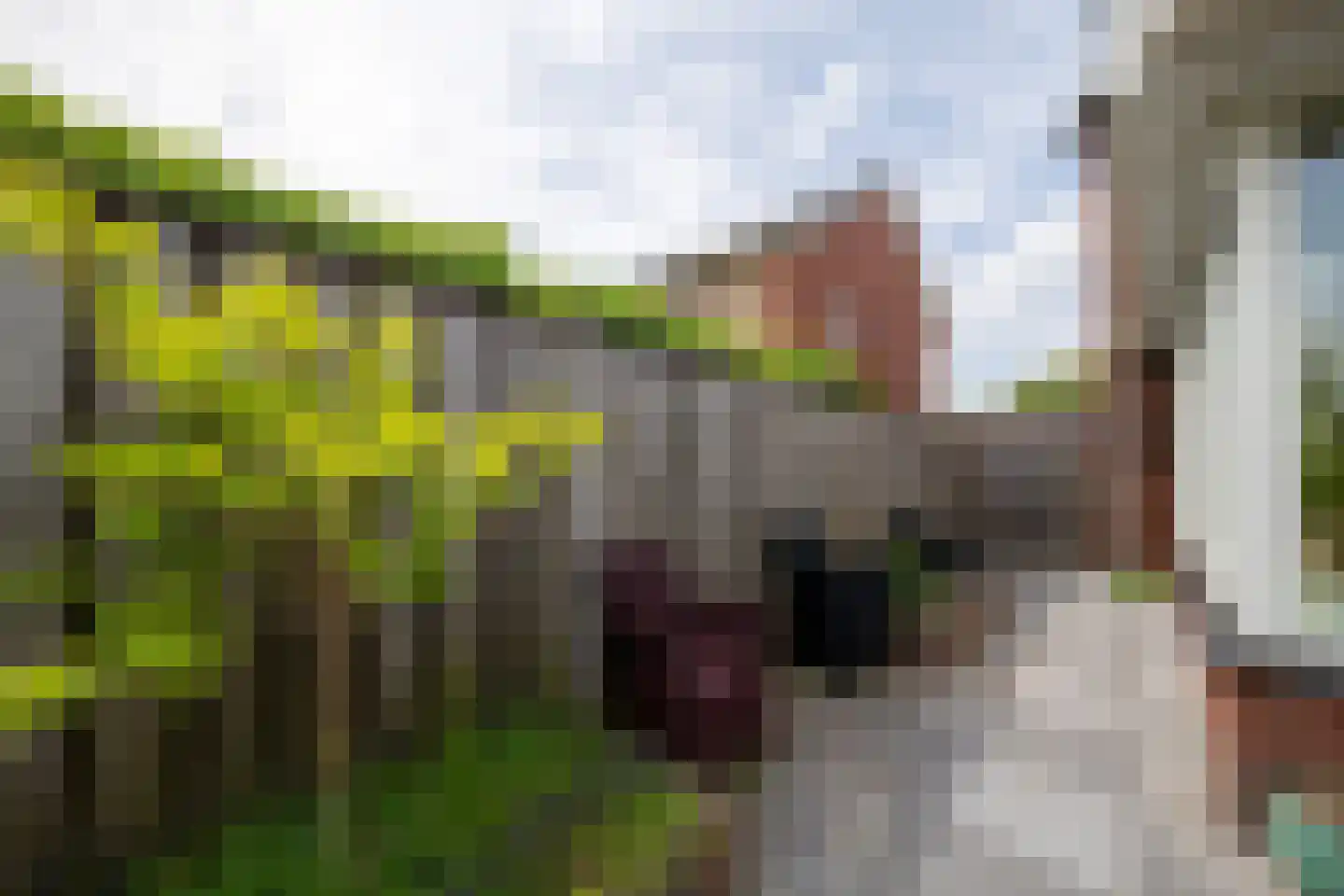 Kwartelstraat 16 Goor thumbnail 19