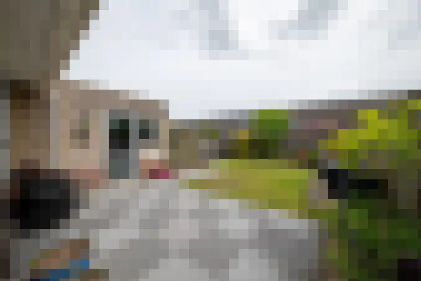 Kwartelstraat 16 Goor thumbnail 20