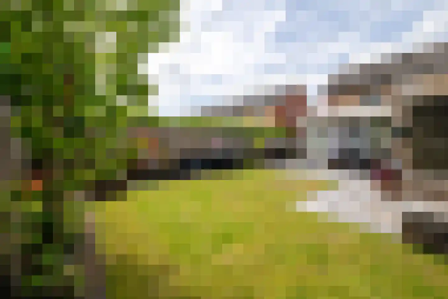 Kwartelstraat 16 Goor thumbnail 21