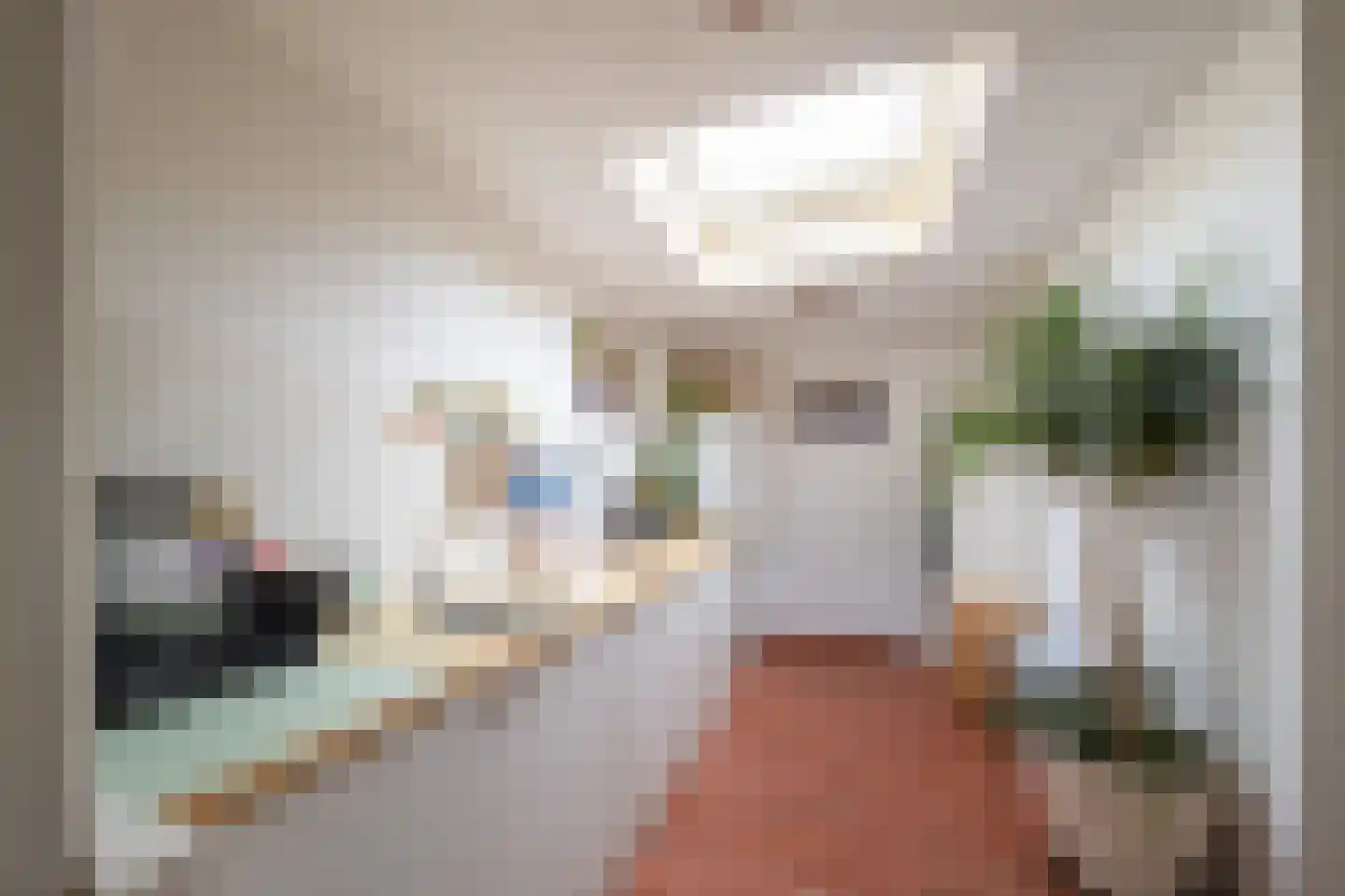 Kwartelstraat 16 Goor thumbnail 5